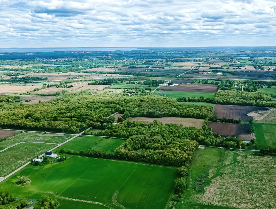 Aerial view of green grass
